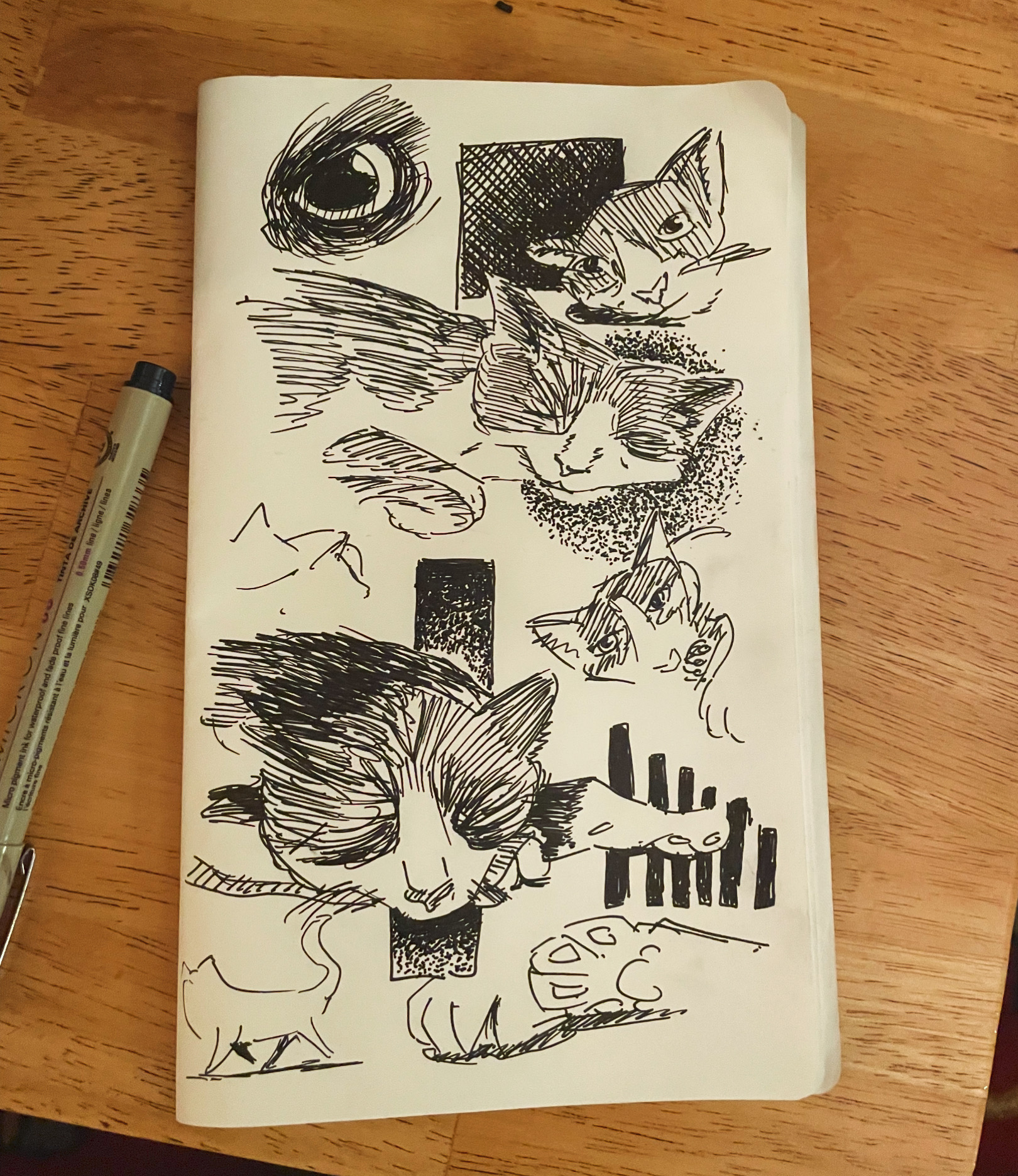 Cat Sketches