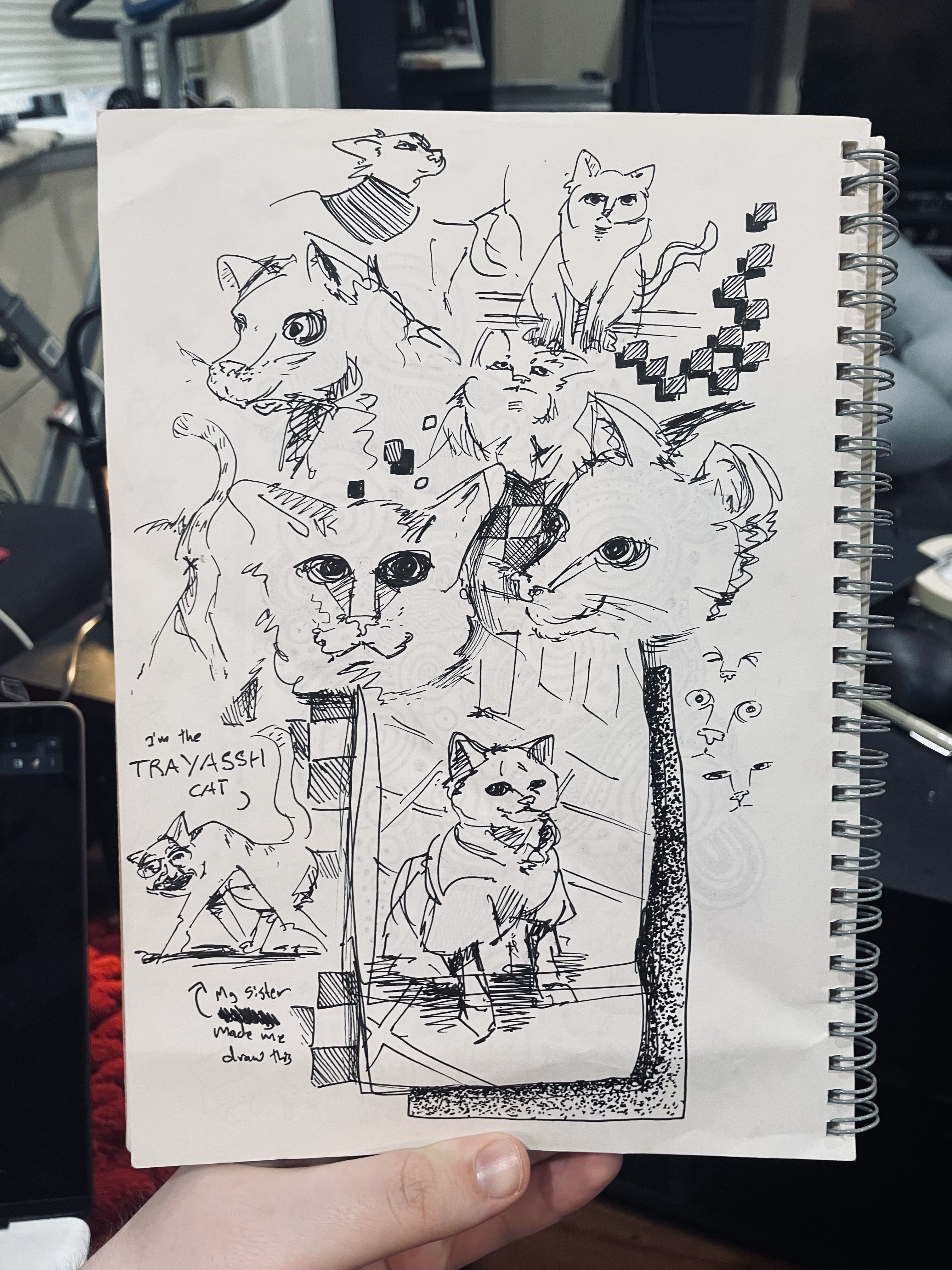 sketches of my cousin's cat