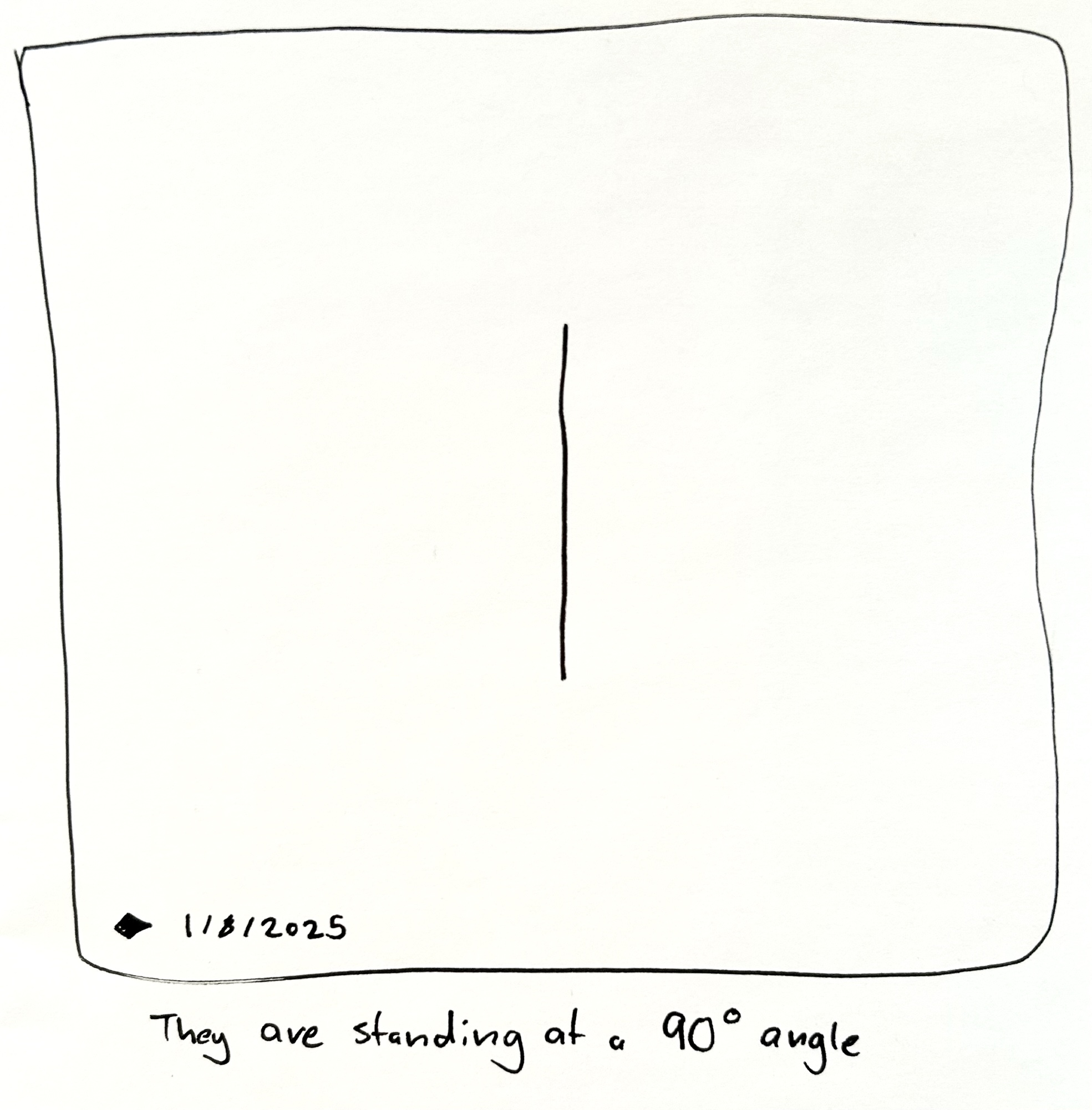 Drawing of a vertical line. The caption reads "they are standing at a 90 degree angle"