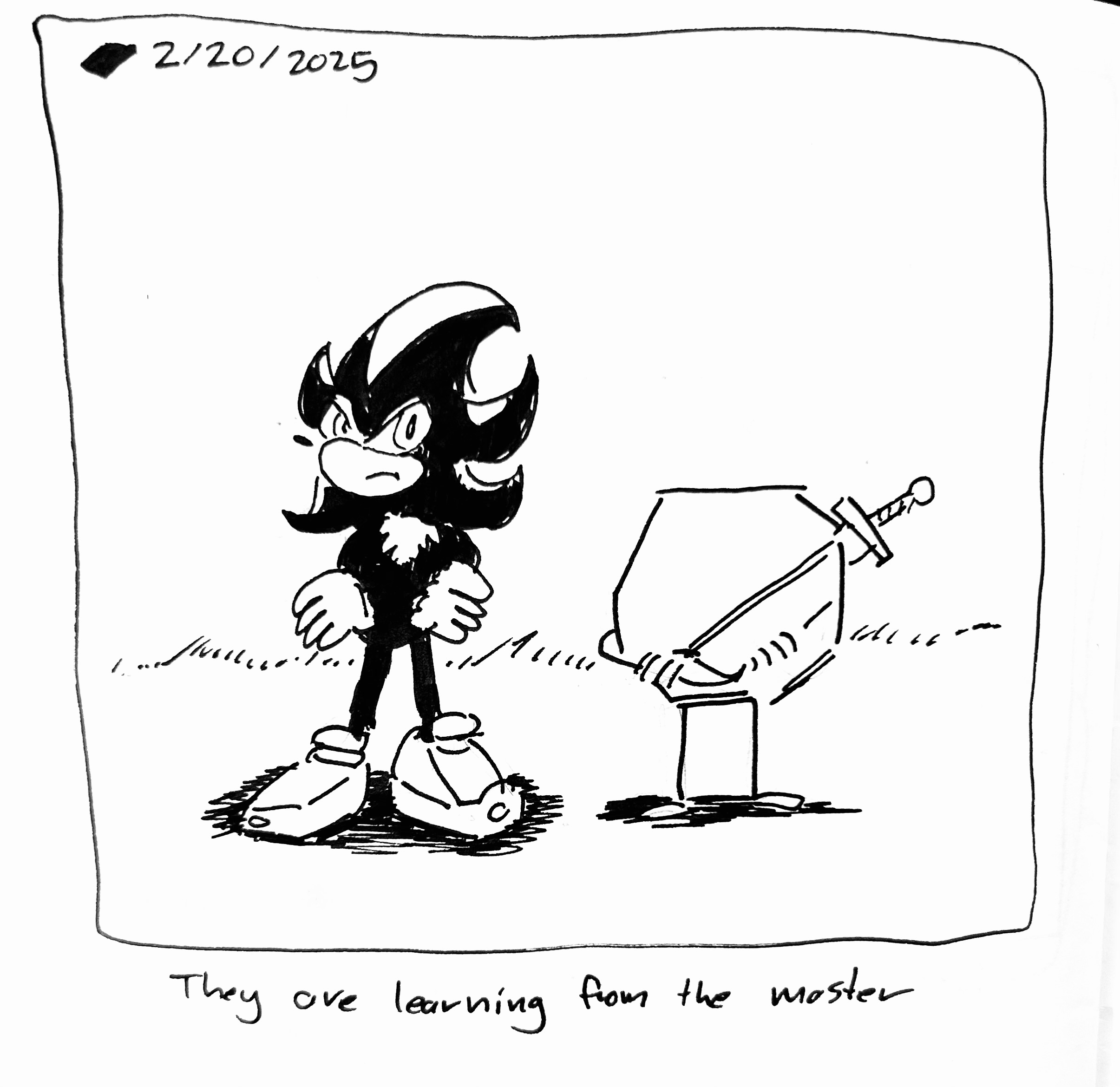 Shadow the Hedgehog and the Warrior  standing around impatiently. The caption reads "they are learning from the master"