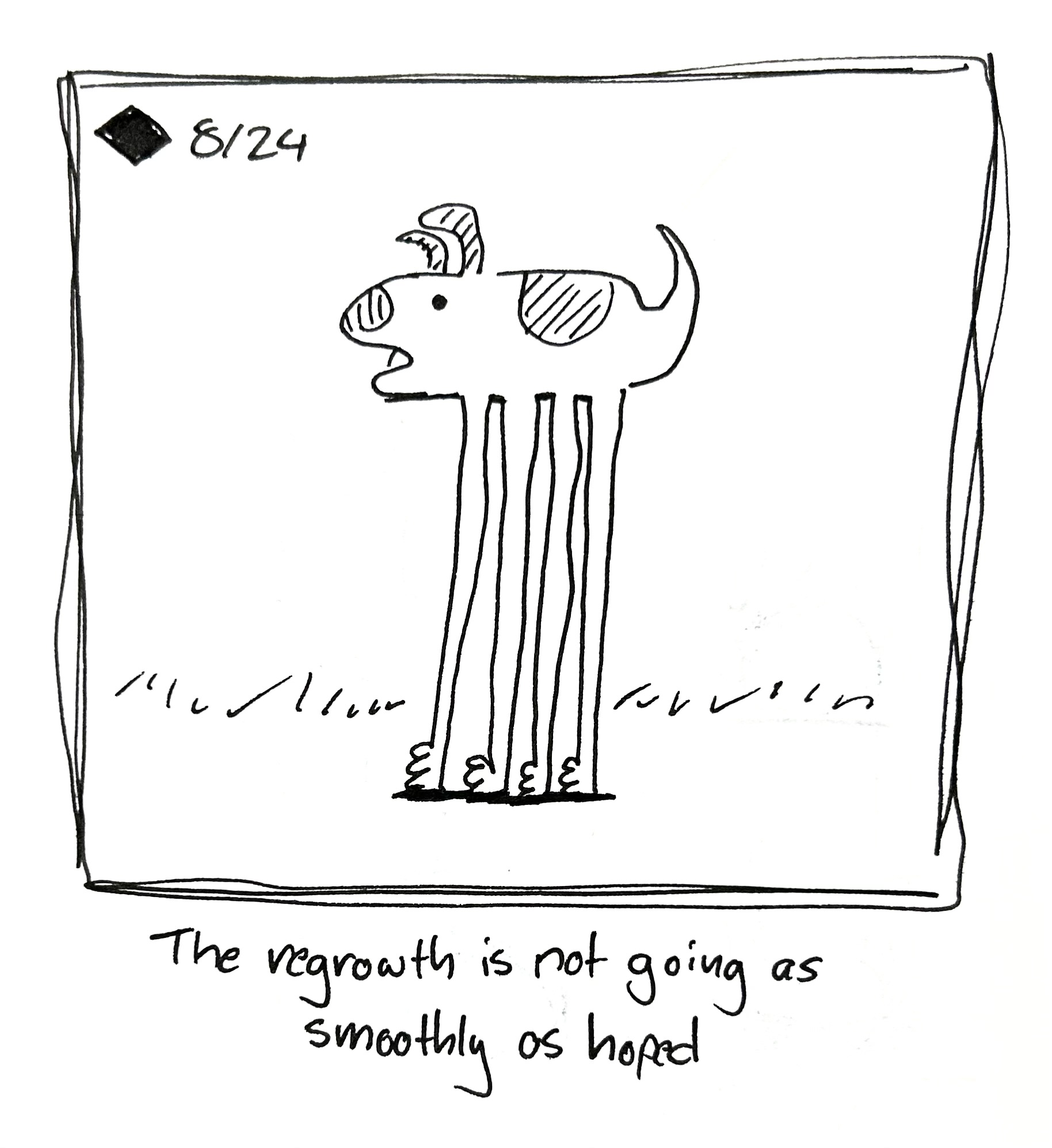 The good dog has long legs. The caption reads "the regrowth is not going as smoothly as hoped"