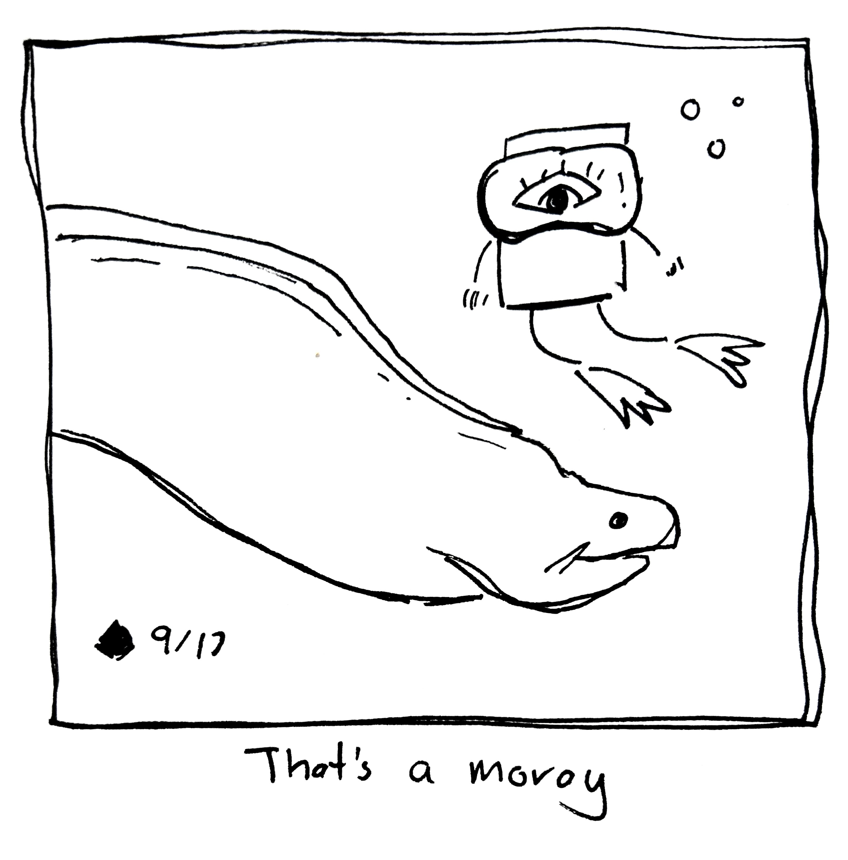 The little guy looks at an eel. The caption reads "that's a moray"