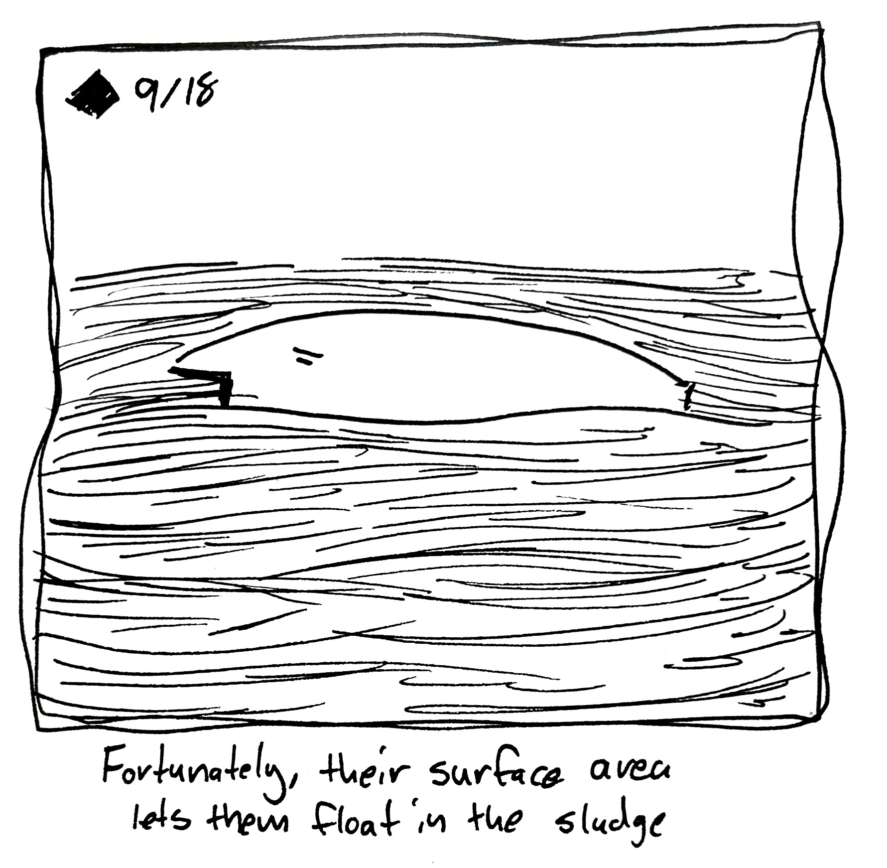 The wide one floats in the sludge. The caption reads "fortunately, their surface area lets them float in the sludge"