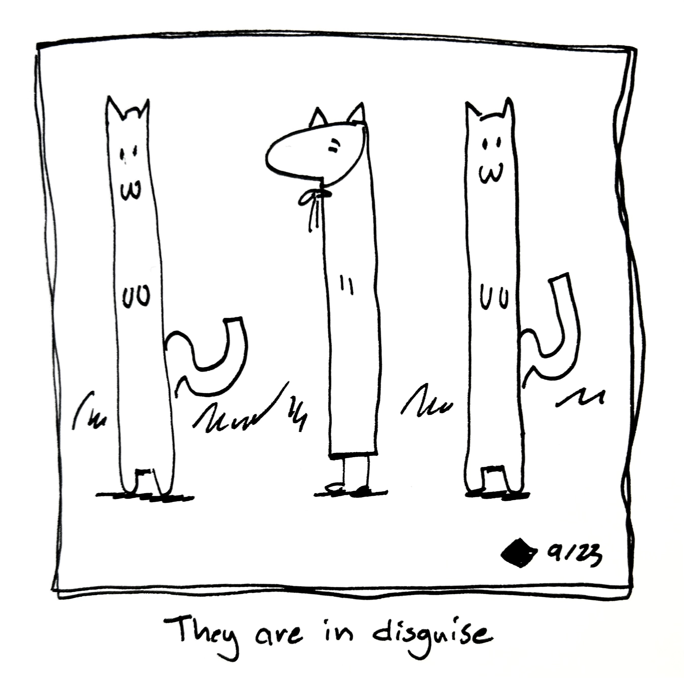 The tall one hangs out with some cats of a similar size with cat ears tied around their head. The caption reads "they are in disguise"
