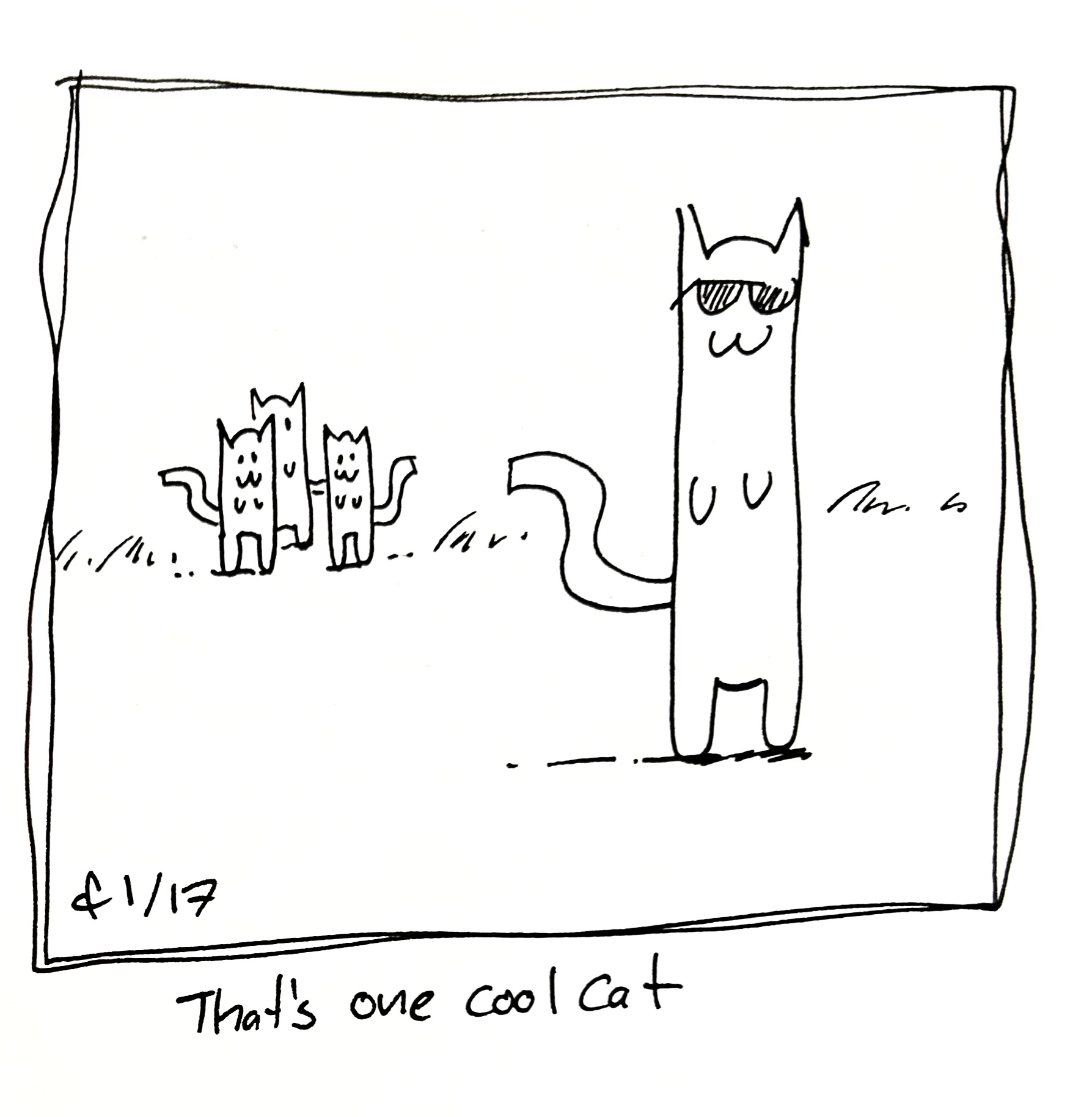 A bunch of cats look over at another cat in the foreground wearing sunglasses. The caption reads "that's one cool cat"