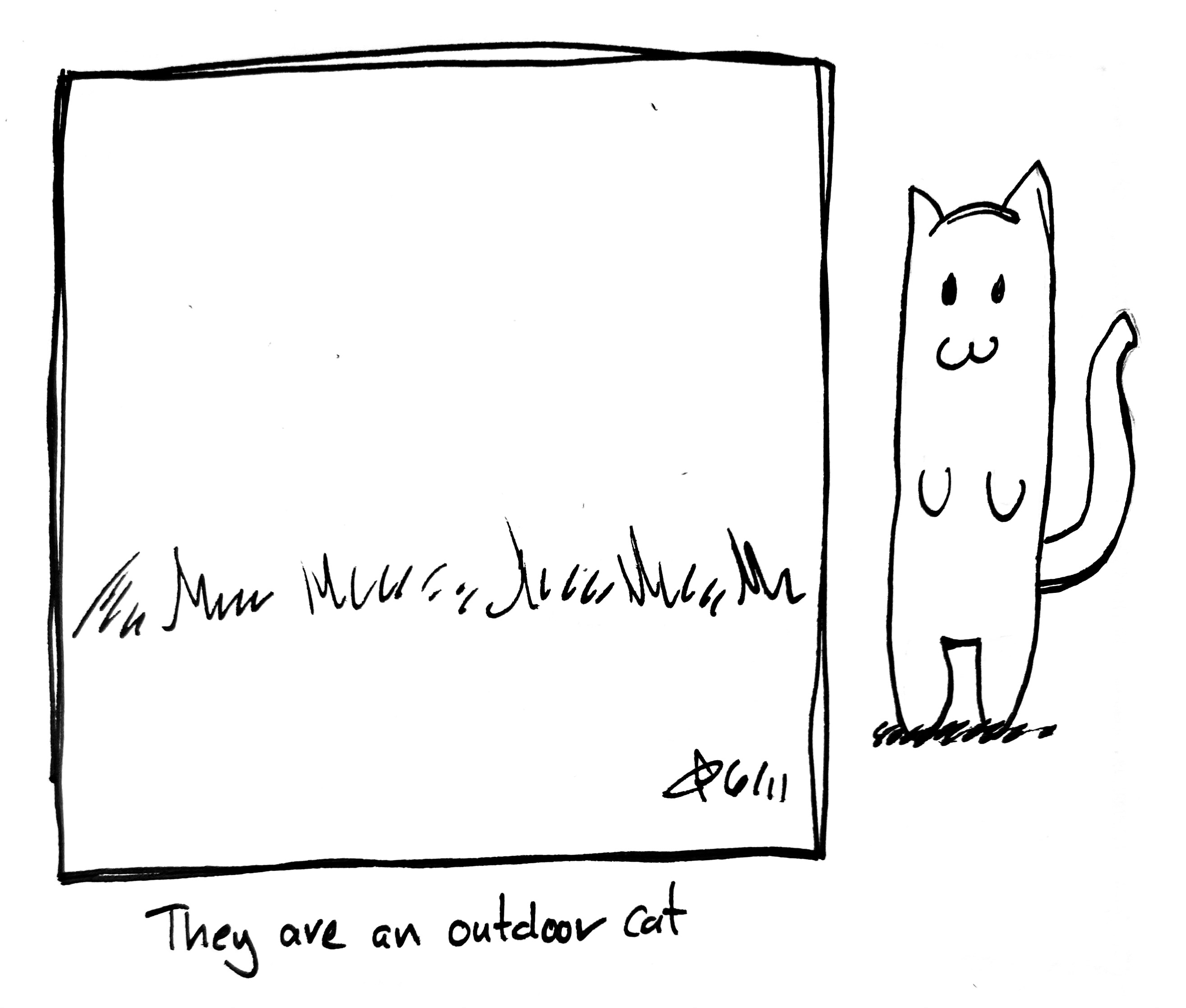 A cat stands outside to the right of the panel. The caption reads "they are an outdoor cat"