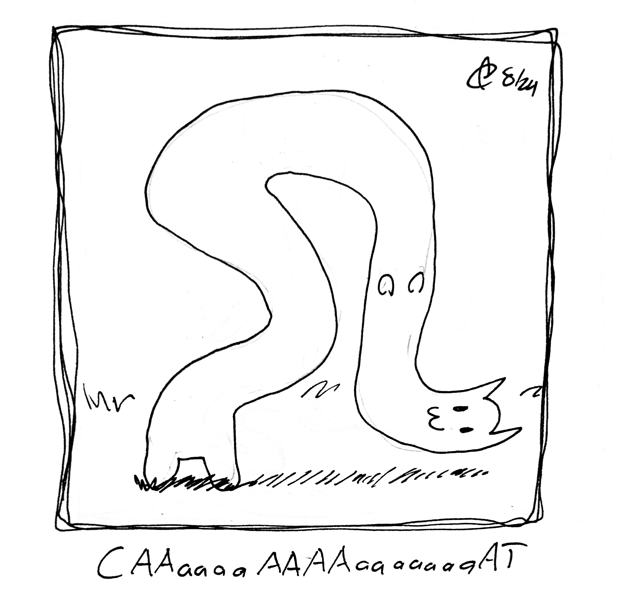 The cat is very long. The caption reads "CAAaaaaAAAAaaaaaaaAT"