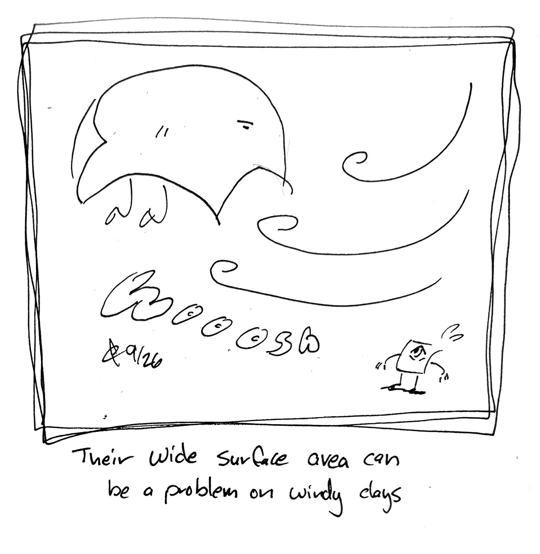 The Wide One is getting blown away in the wind. The caption reads "Their wide surface area ks a problem on windy days"